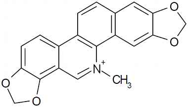 PA PHY 003364