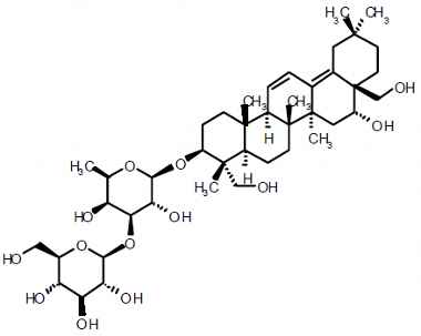 PA PHY 003366