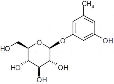 PA PHY 003370