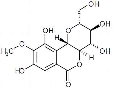 PA PHY 003373