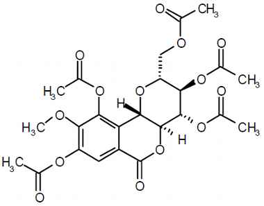 PA PHY 003374