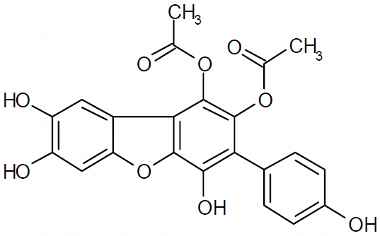 PA PHY 003377