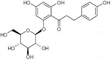 PA PHY 003383