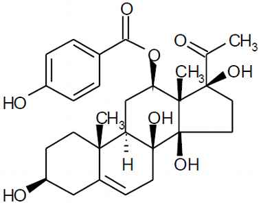 PA PHY 003389