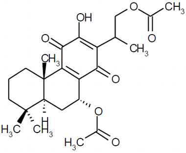 PA PHY 003391