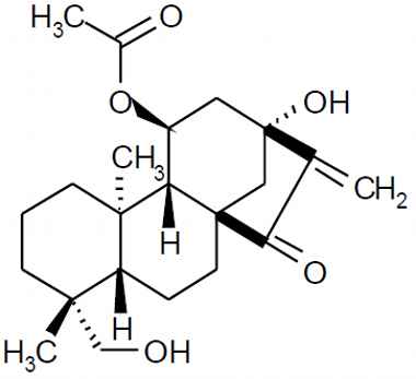 PA PHY 003395