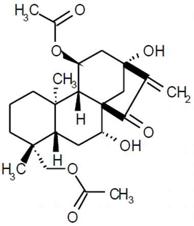 PA PHY 003396