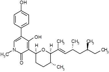 PA PHY 003409