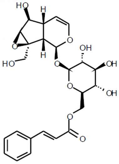 PA PHY 003420