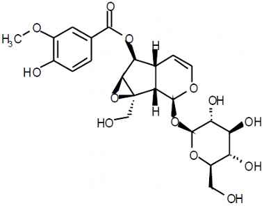 PA PHY 003421