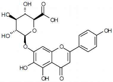 PA PHY 003426