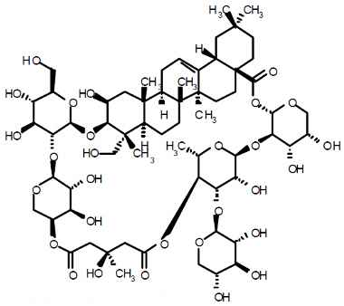 PA PHY 003442