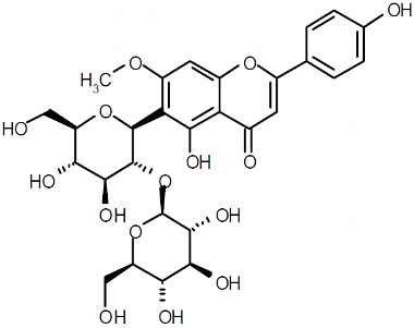 PA PHY 003445