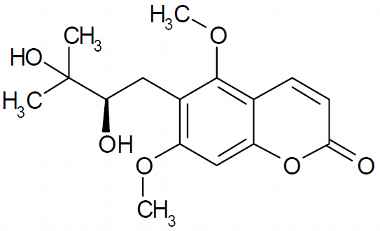 PA PHY 003456