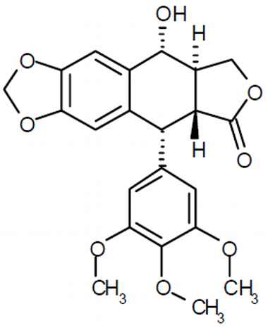 PA PHY 003458