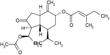 PA PHY 003464