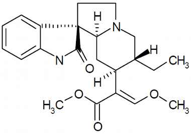 PA PHY 003466