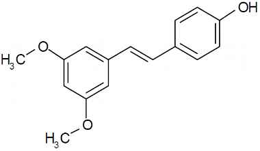 PA PHY 003467