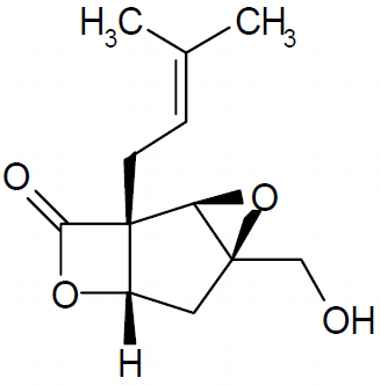 PA PHY 003483