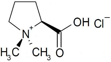 PA PHY 003490