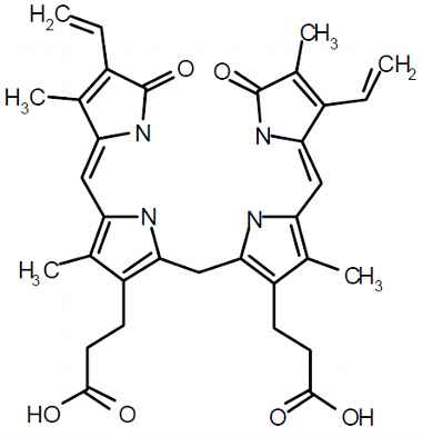 PA PHY 003494