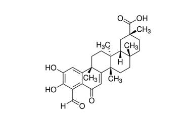 PA PHY 003503