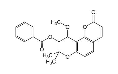 PA PHY 003508