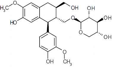 PA PHY 003529