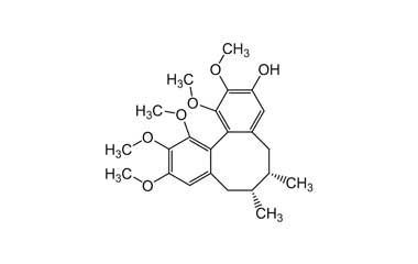 PA PHY 003534