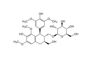 PA PHY 003555