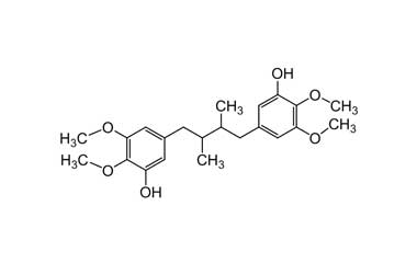 PA PHY 003566