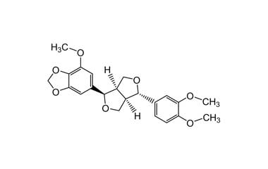 PA PHY 003625