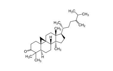 PA PHY 003634