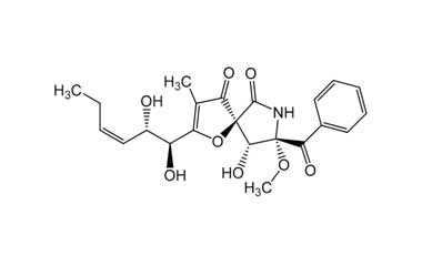 PA PHY 003639