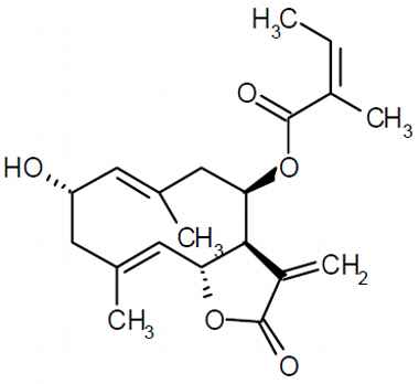 PA PHY 003640