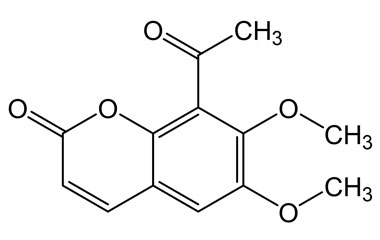 PA PHY 003695