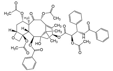 PA PHY 003709