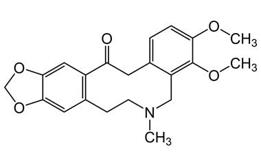 PA PHY 003729