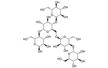 PA PHY 003745