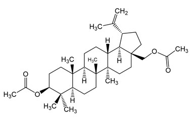 PA PHY 003784