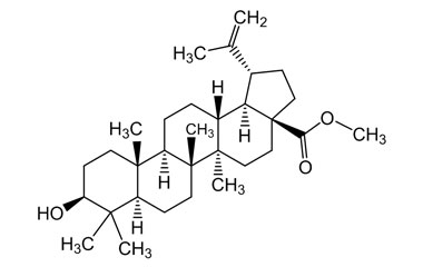 PA PHY 003785