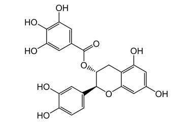 PA PHY 003848