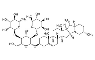 PA PHY 003855