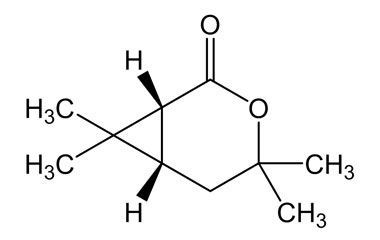 PA PHY 003885