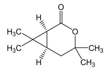 PA PHY 003886