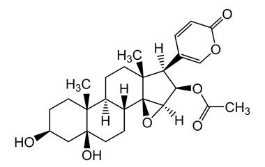 PA PHY 003891