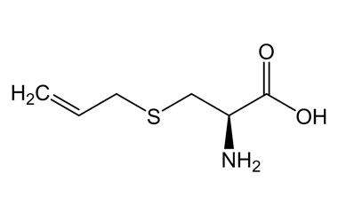 PA PHY 003950