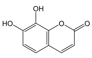 PA PHY 003959