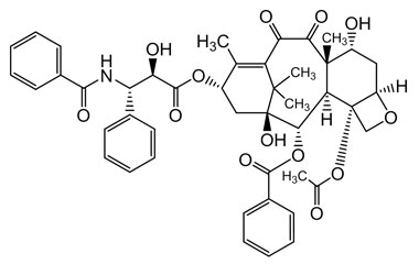 PA PHY 003964