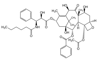 PA PHY 003966